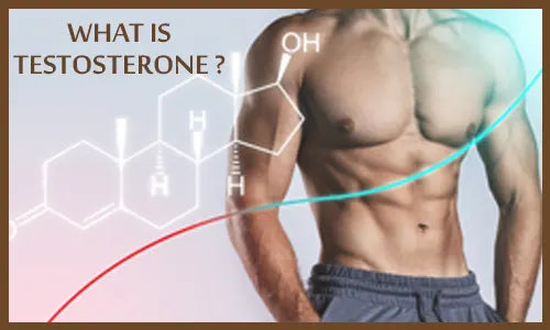 What Is Testosterone
