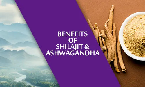 Benefits Of Shilajit and Ashwagandha