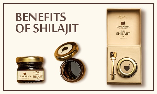 Top 10 Amazing Benefits Of Shilajit For Health