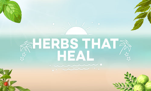 Top 4 Natural Herbs That Heal | Super Foods To Stay Healthy