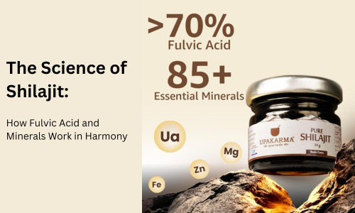 The Science of Shilajit: How Fulvic Acid and Minerals Work in Harmony