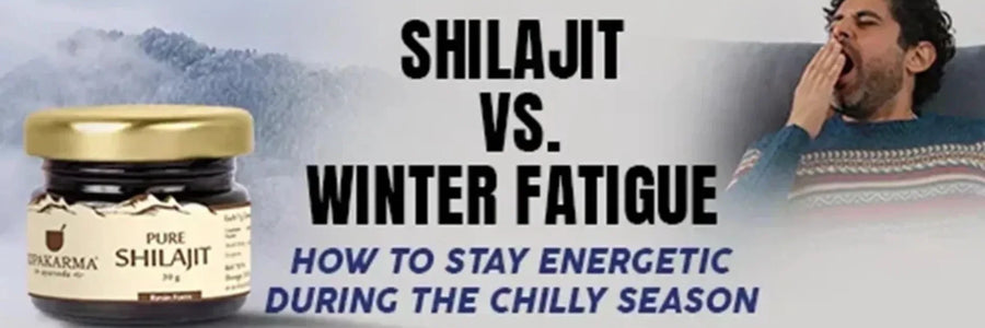Shilajit vs. Winter Fatigue: How to Stay Energetic During the Chilly Season