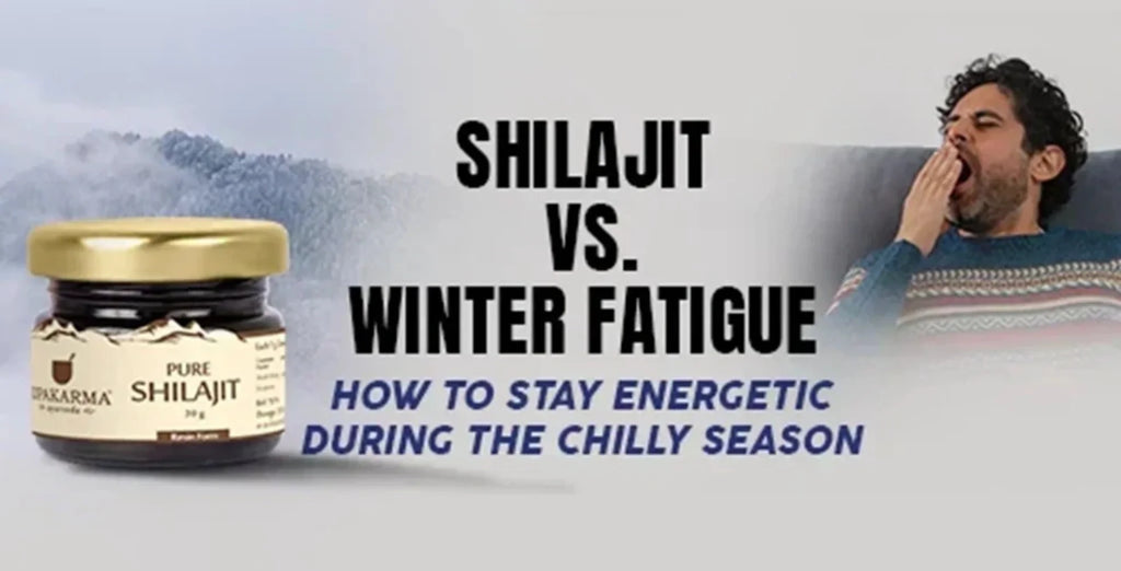 Shilajit vs. Winter Fatigue: How to Stay Energetic During the Chilly Season