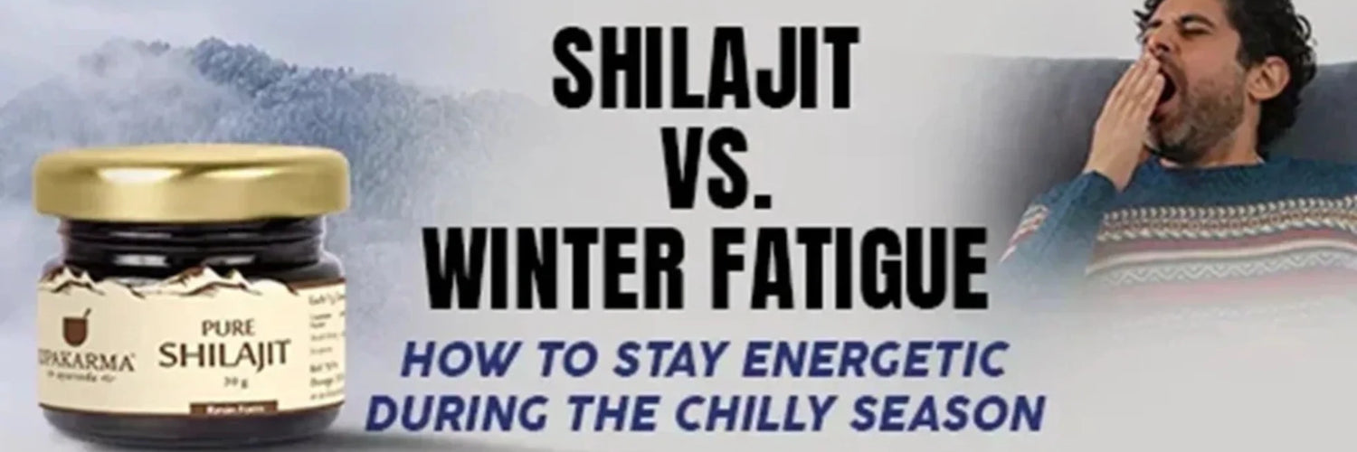 Shilajit vs. Winter Fatigue: How to Stay Energetic During the Chilly Season