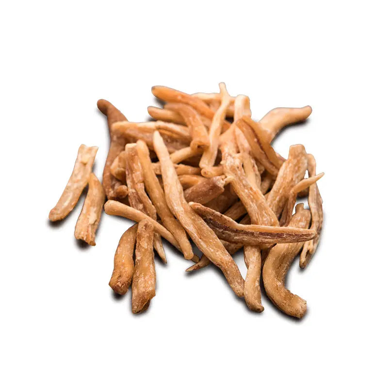 Safed Musli