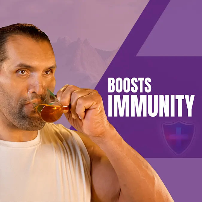 ashwagandha capsule boost immunity