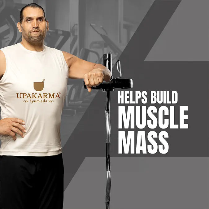 shilajit capsule benefits