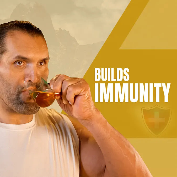 Benefits of Shilajit