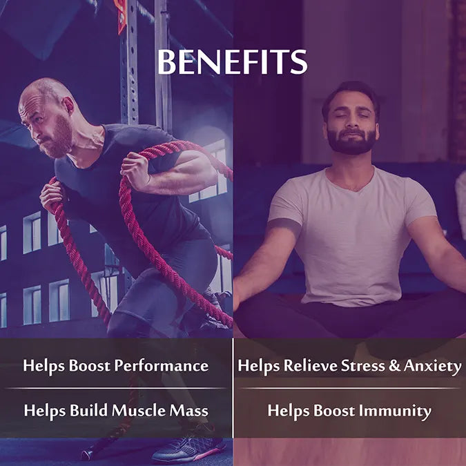 Combo Pack of Shilajit Effervescent Blueberry Flavour & Ashwagandha Effervescent