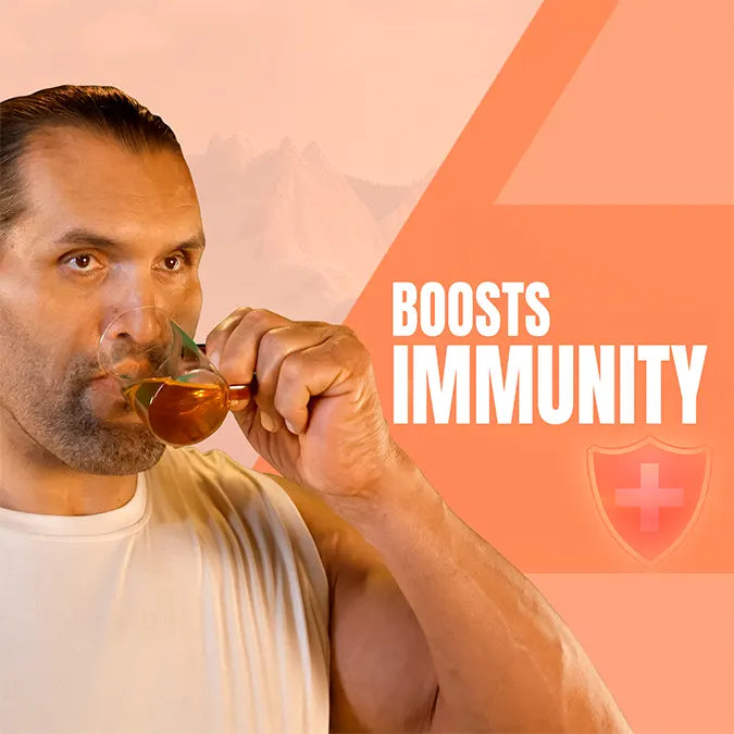 shilajit effervescent