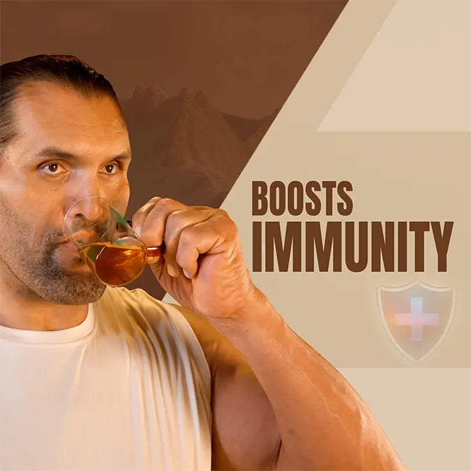 shilajit effervescent benefits