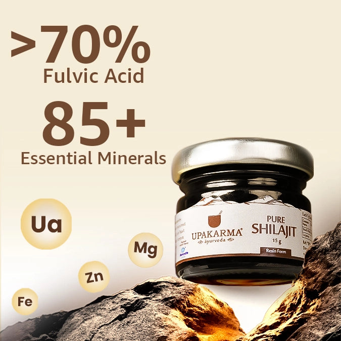 pure shilajit resin