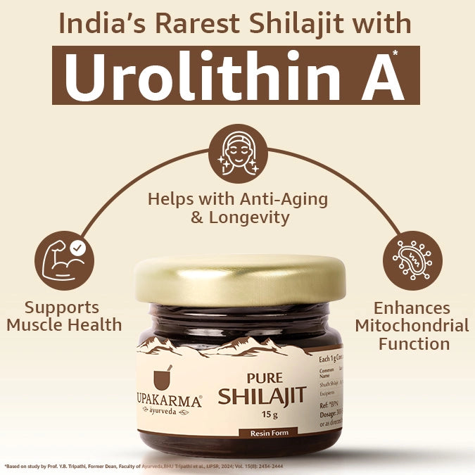 Natural Shilajit resin