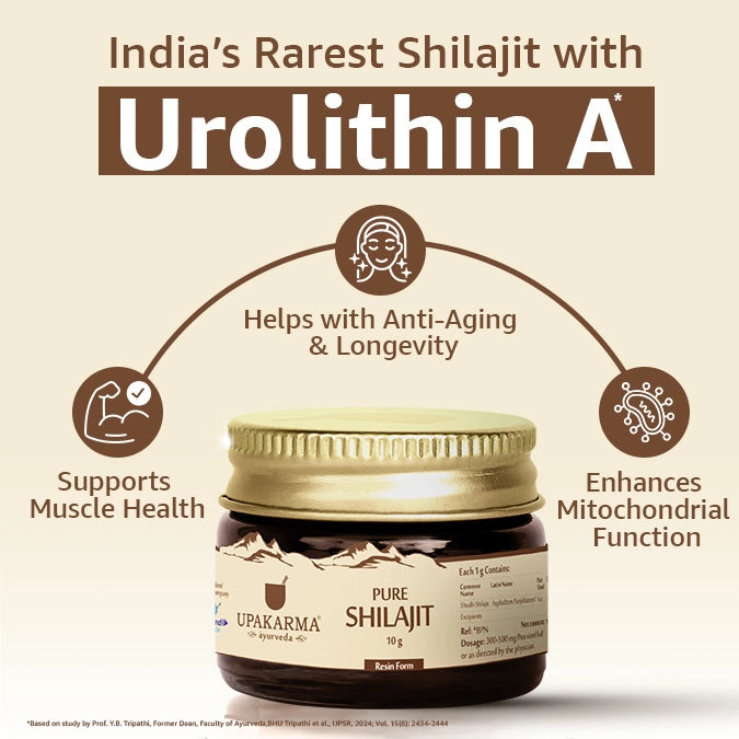 Benefits of Shilajit