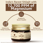 shilajit resin form