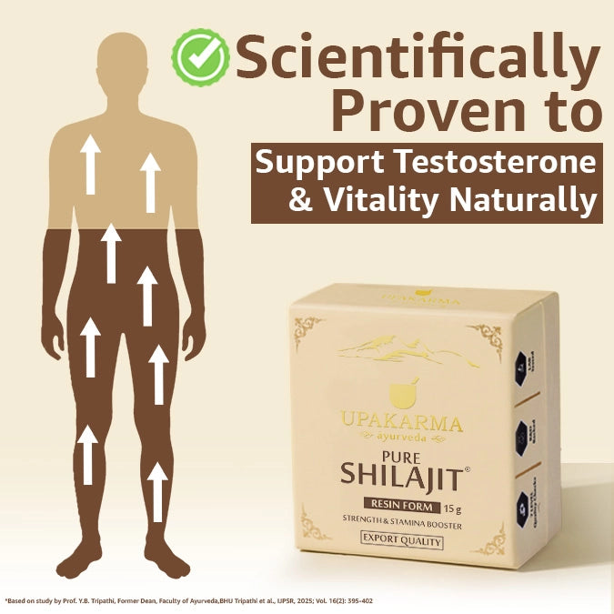 Shilajit for men