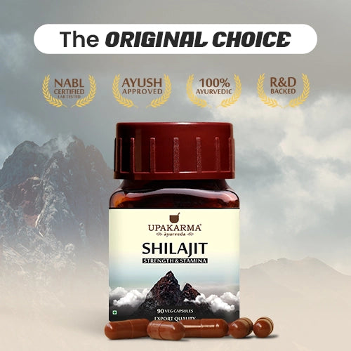 Original shilajit resin