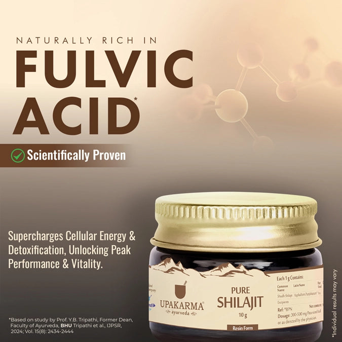 Shilajit resin with fulvic acid