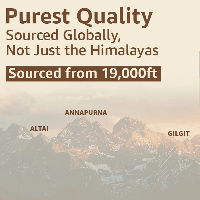 best quality shilajit