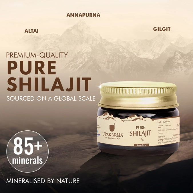 pure shilajit resin