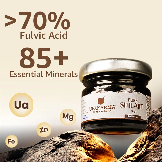 shilajit for stamina