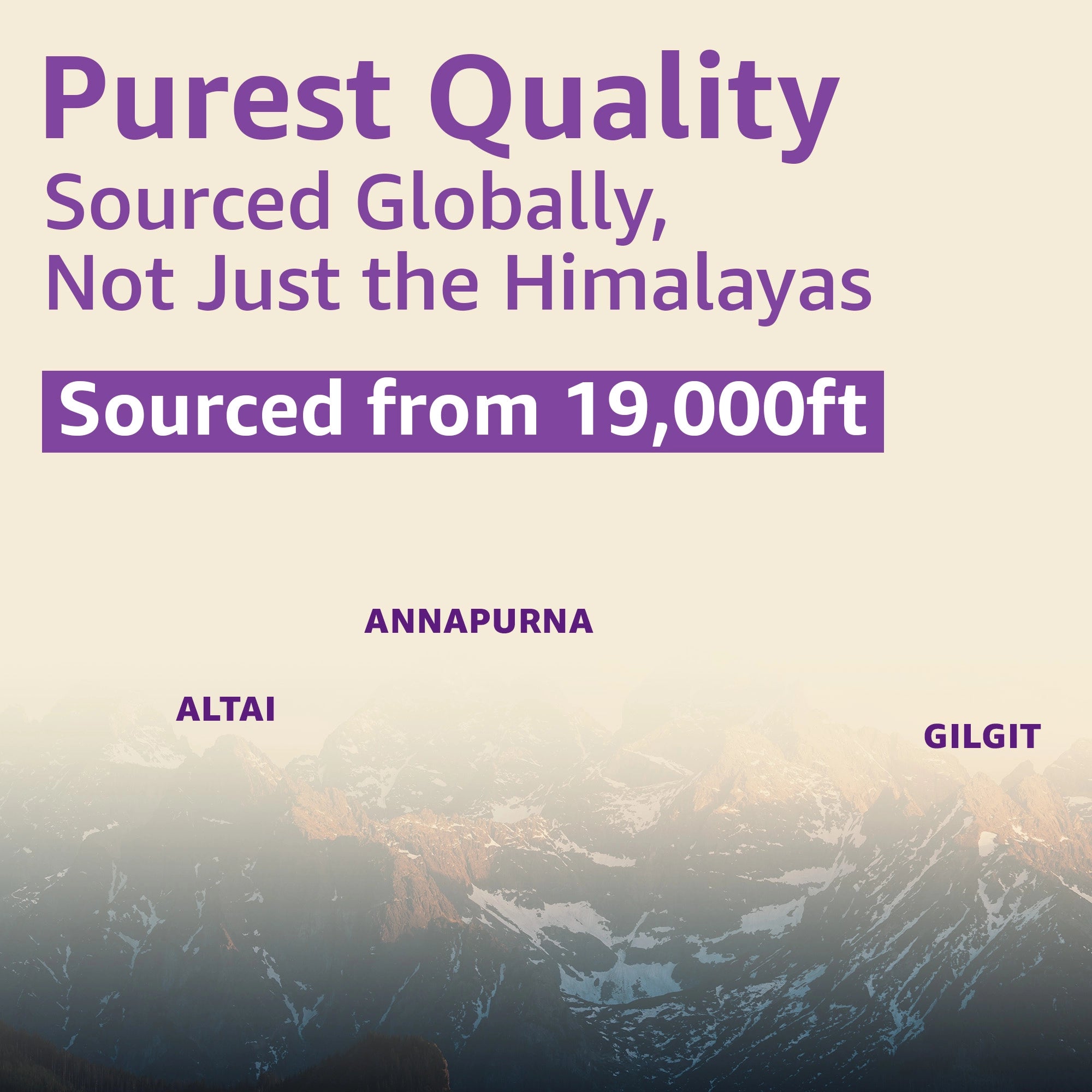 shilajit with ashwagandha 20g