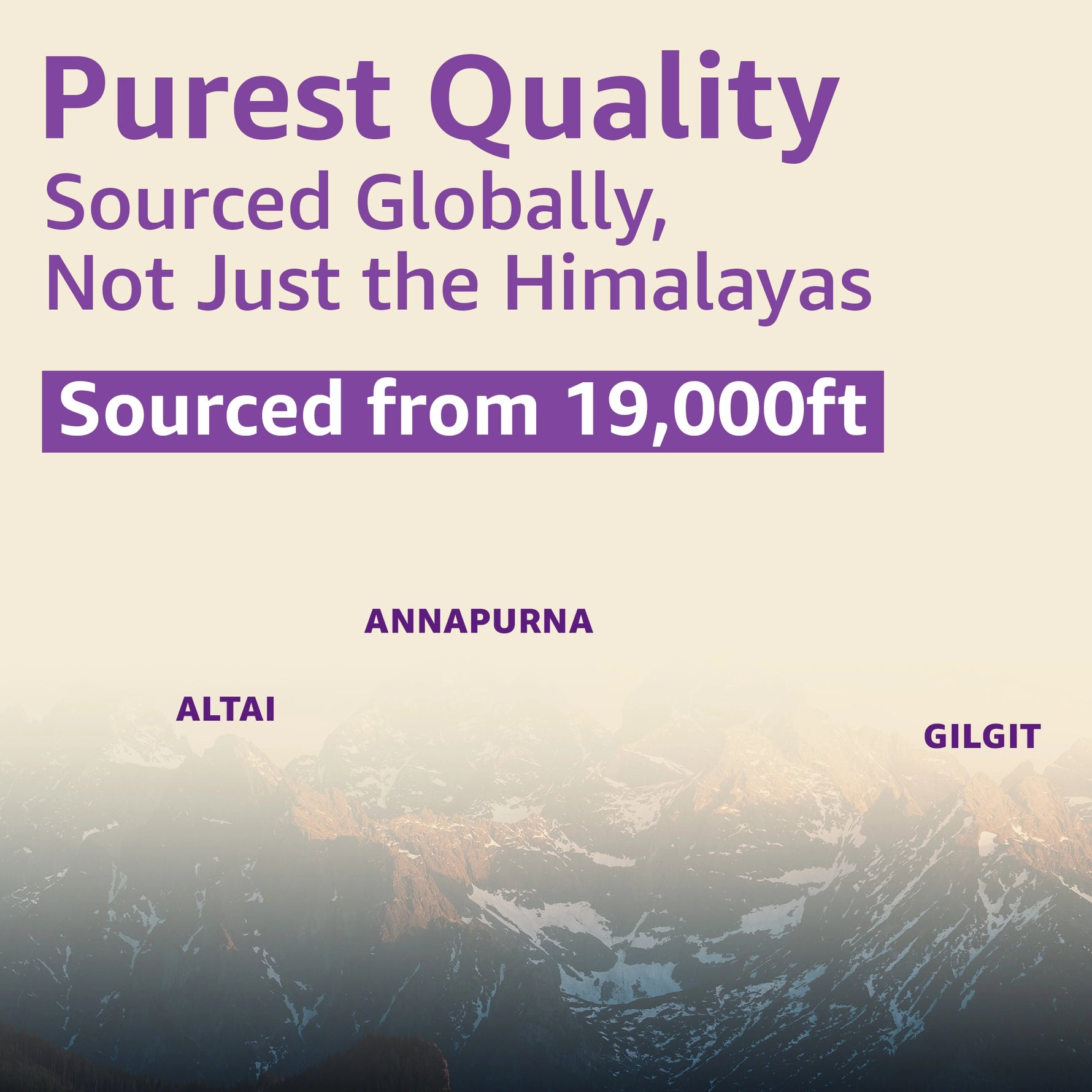 pure shilajit resin
