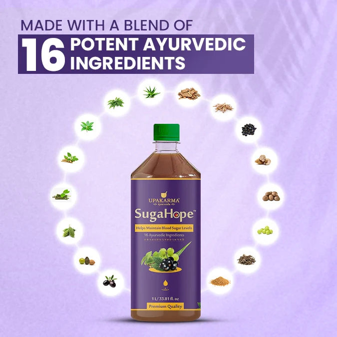 A Thoughtfully Curated Combo for Daily Sugar Balance