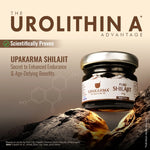 pure shilajit resin 20g