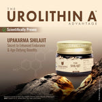 shilajit resin 10g