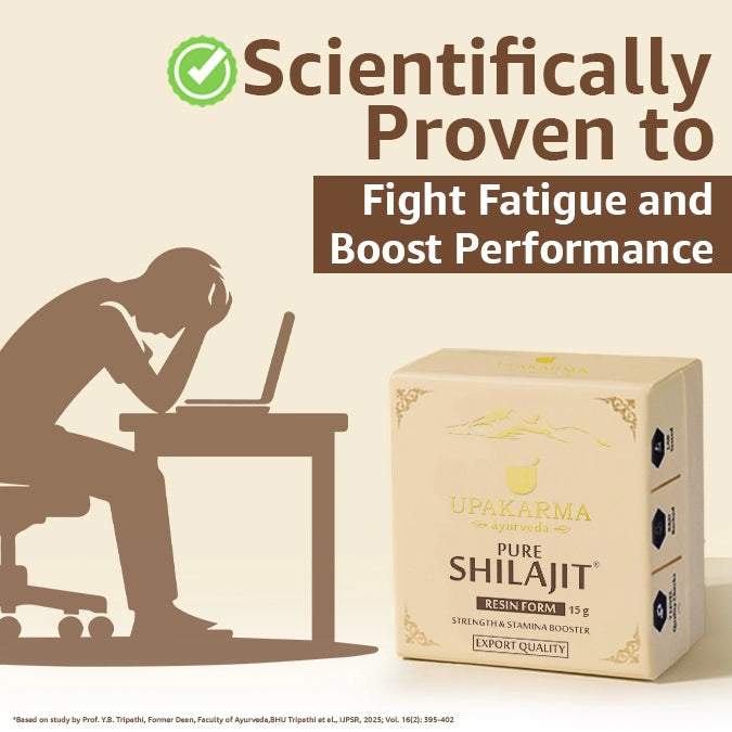 pure shilajit resin 15g