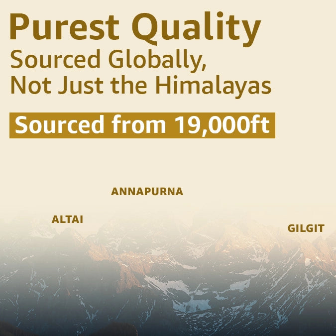 Shilajit resin gold dust 10g