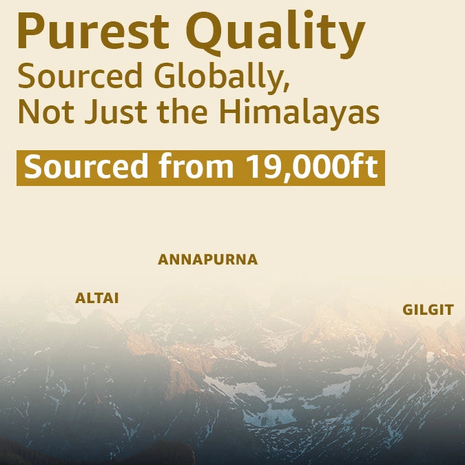 shilajit resin with gold 20g