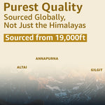shilajit resin with gold 20g