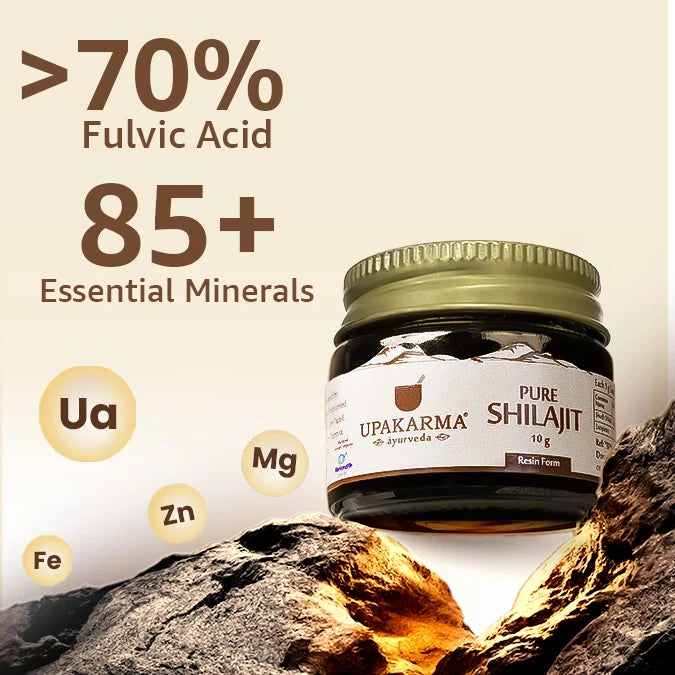 A Thoughtfully Curated Combo for Daily Sugar Balance
