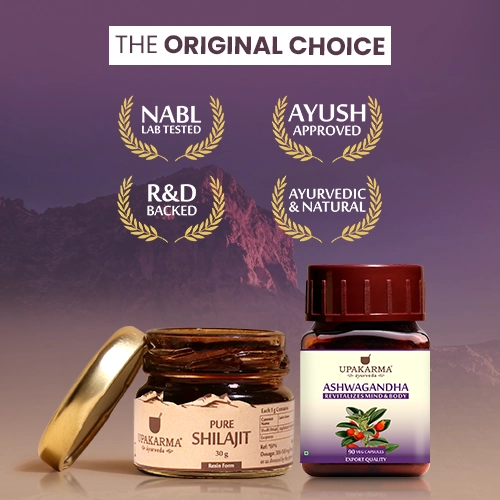 original shilajit resin