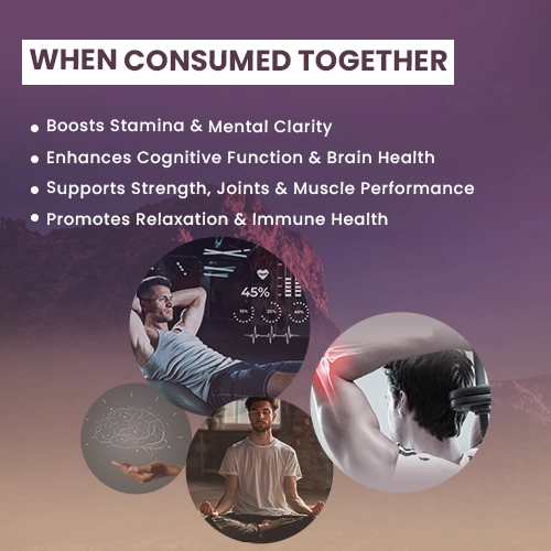 benefit of shilajit capsule