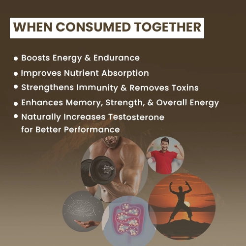 upakarma shilajit