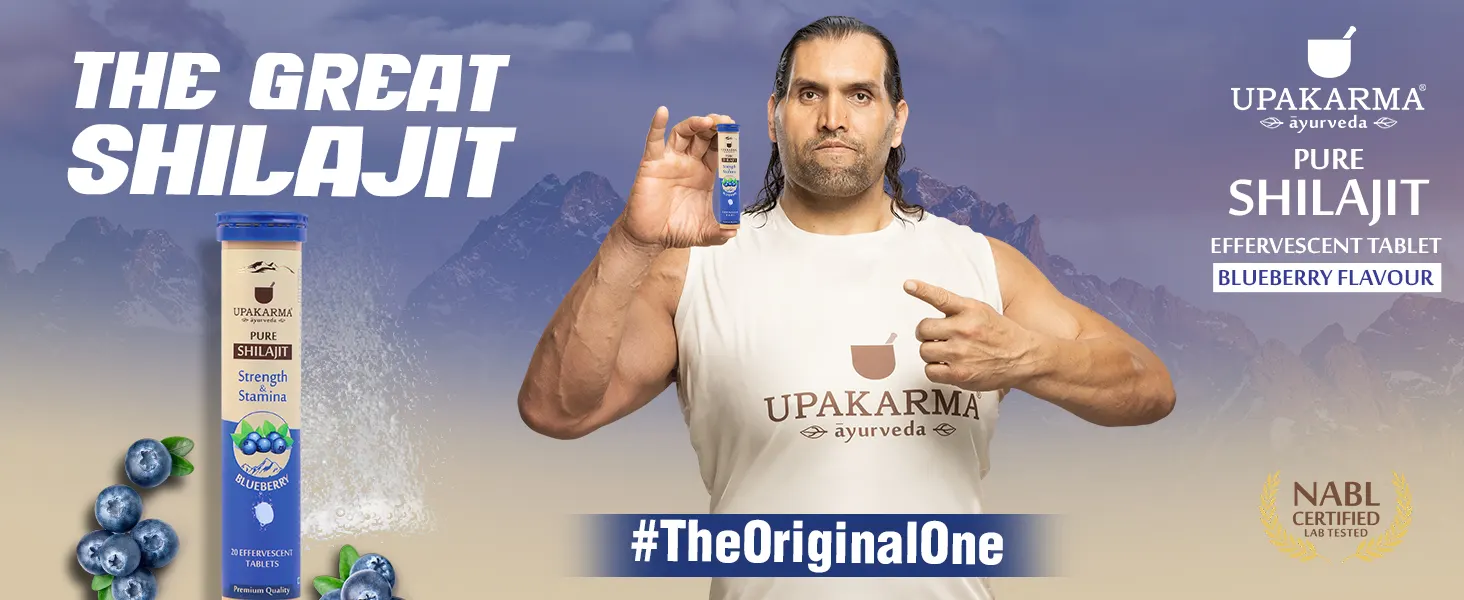 shilajit effercent blueberry
