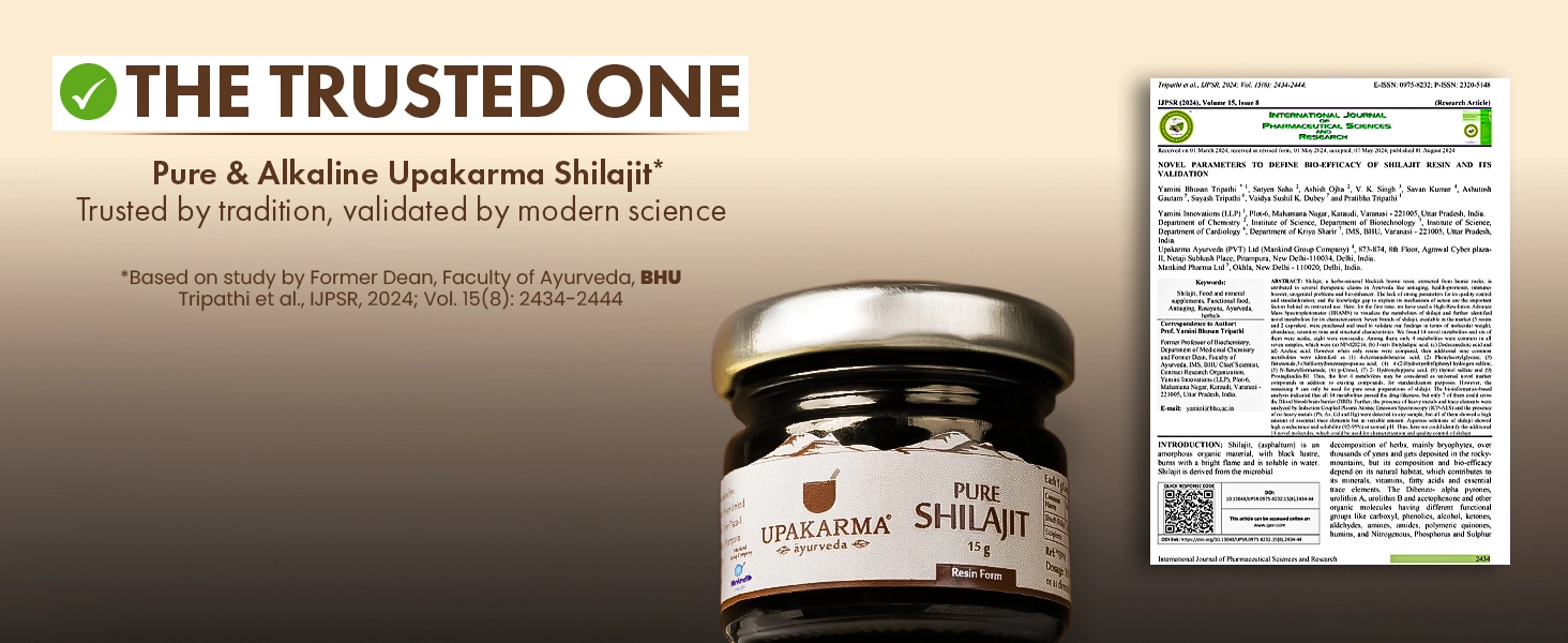 Shilajit 15g