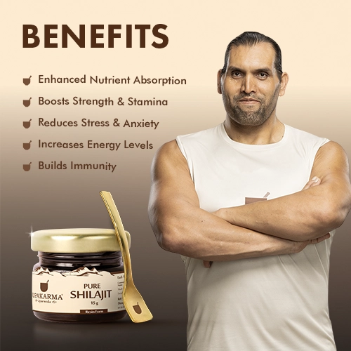 shilajit benefits
