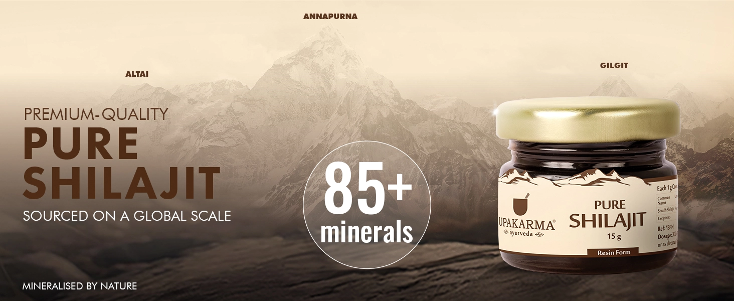 Pure Shilajit Resin