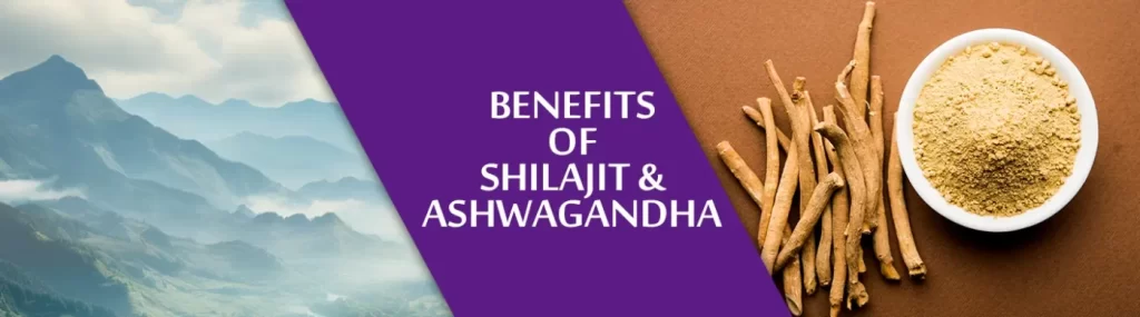 benefits of shilajit and ashwagandha