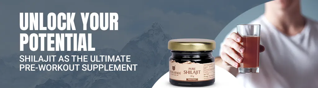 shilajit blog