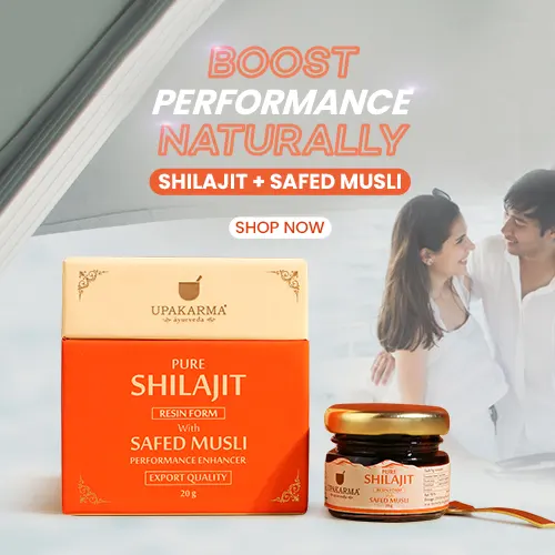 shilajit resin