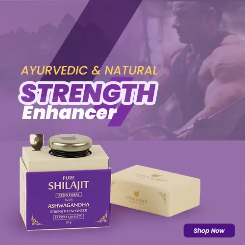 shilajit strength