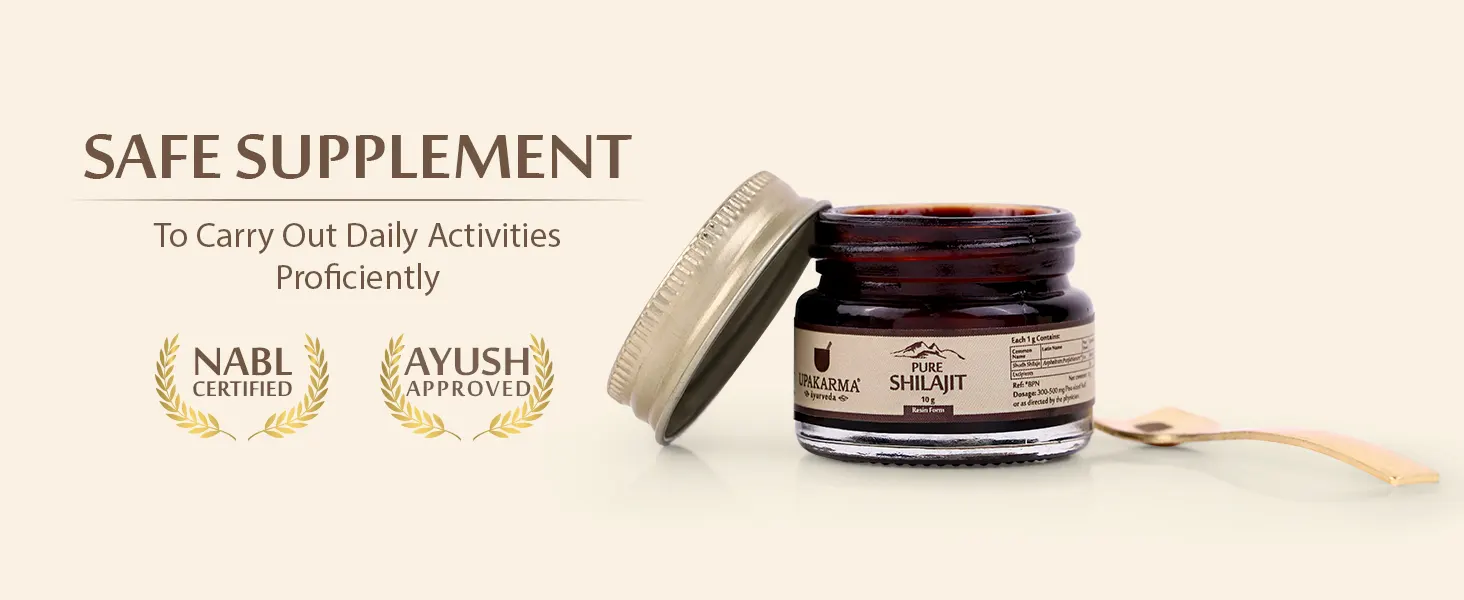 shilajit resin 10g