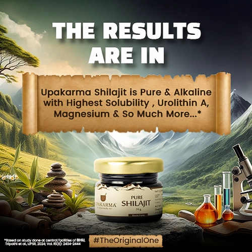 shilajit for men